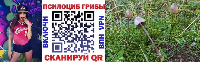 наркотики  Долинск  Галлюциногенные грибы мухоморы 